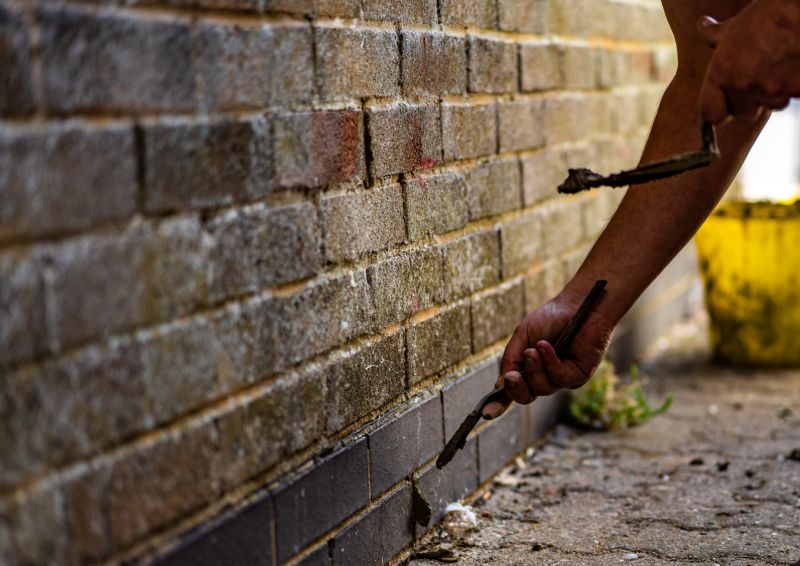 Repointing Techniques